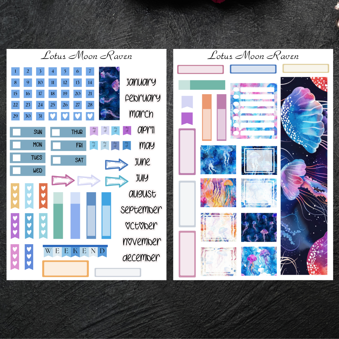 Jellyfish Hobo Cousin Weekly