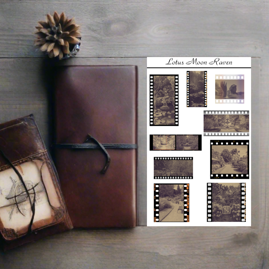 Botanical Garden Negatives