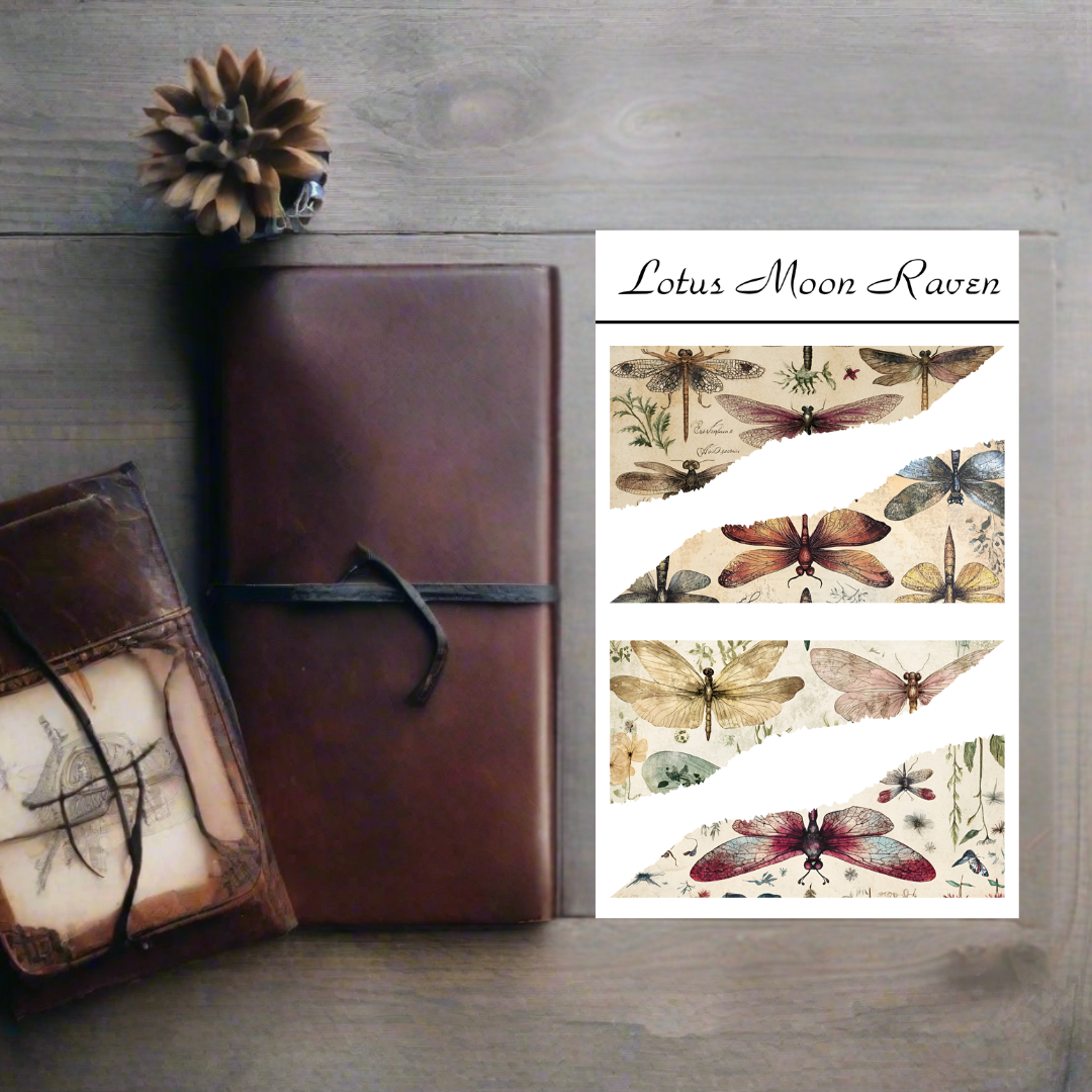 Dragonfly Washi Deco