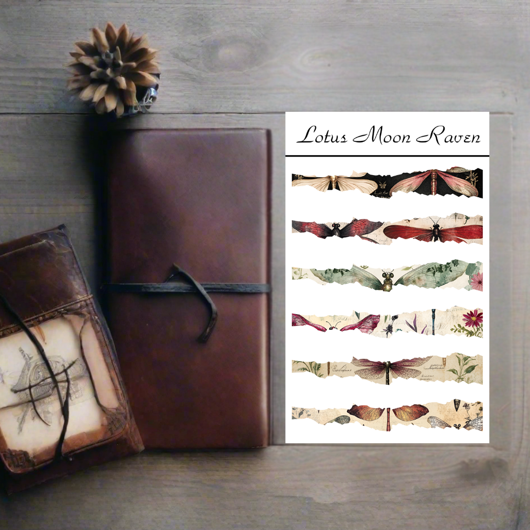 Dragonfly Washi Deco