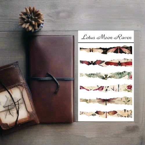 Dragonfly Washi Deco