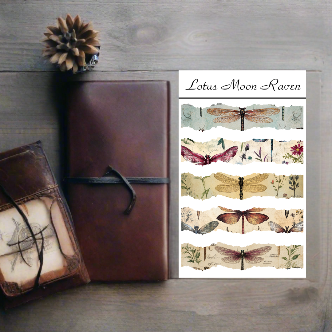 Dragonfly Washi Deco