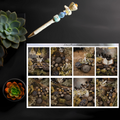Herbalist