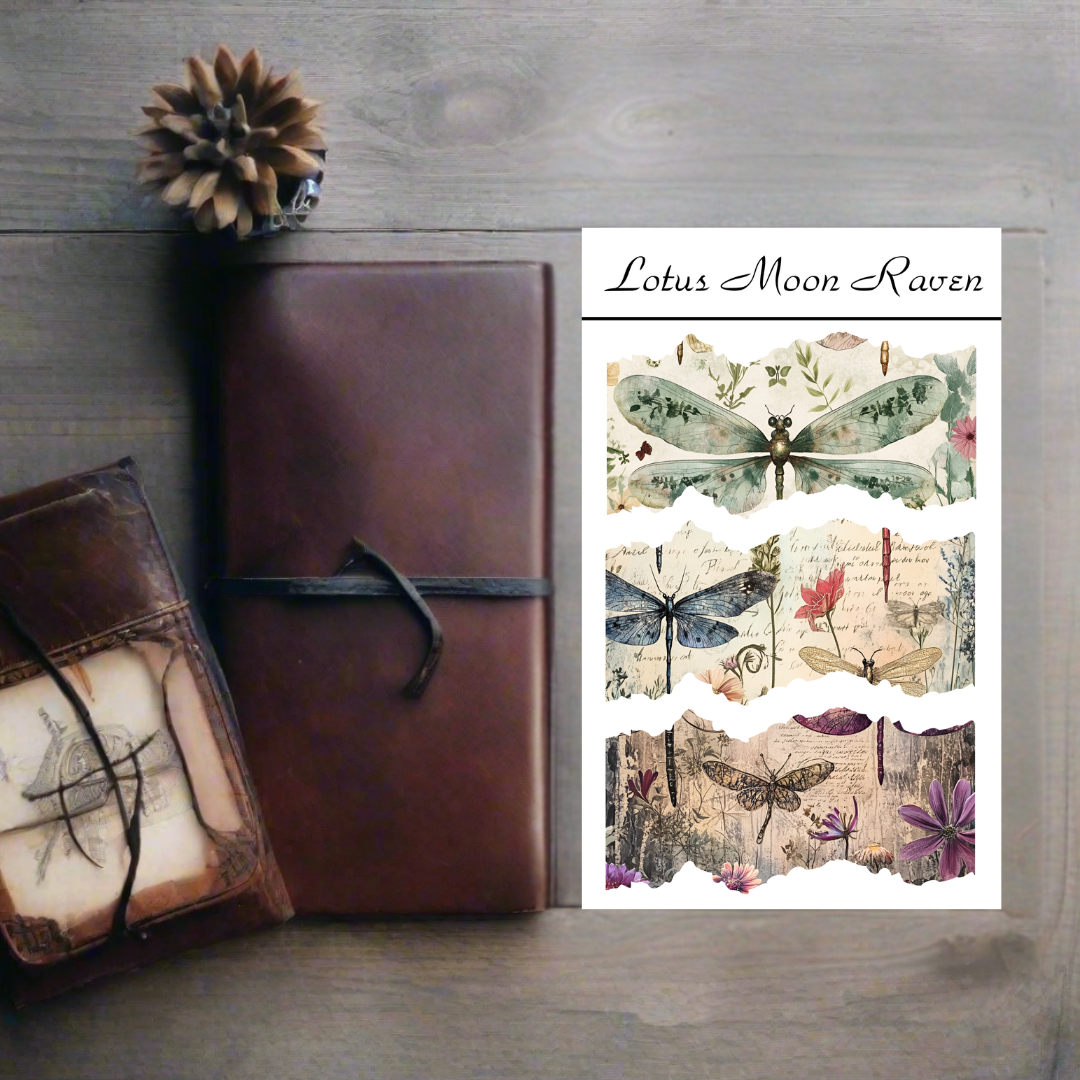 Dragonfly Washi Deco