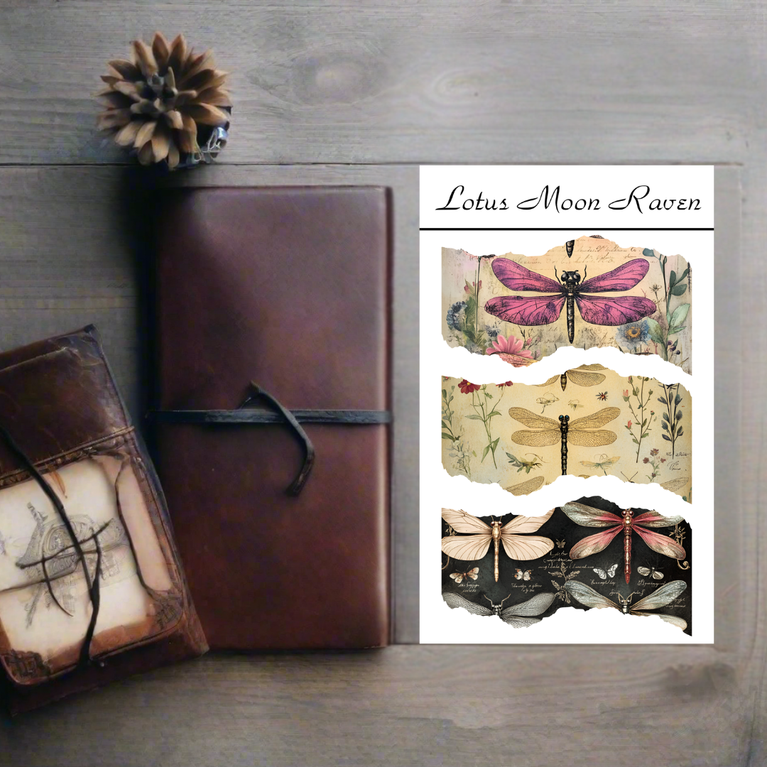 Dragonfly Washi Deco