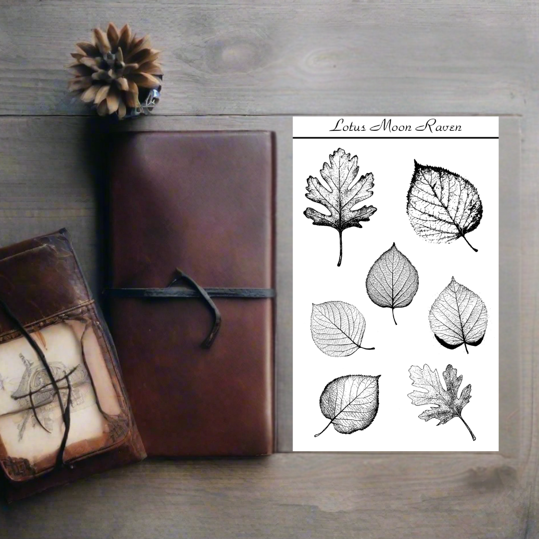 Fallen Leaves