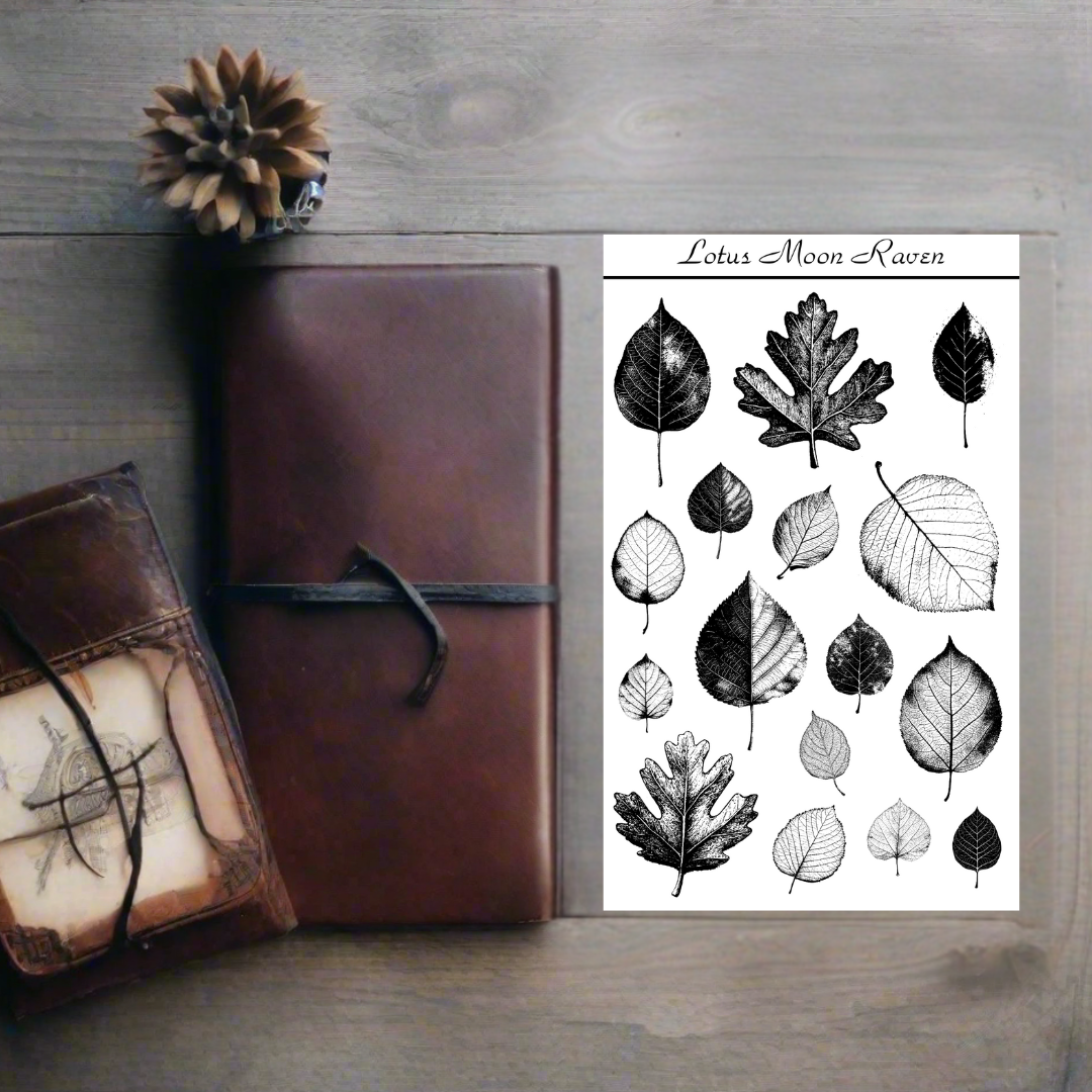 Fallen Leaves