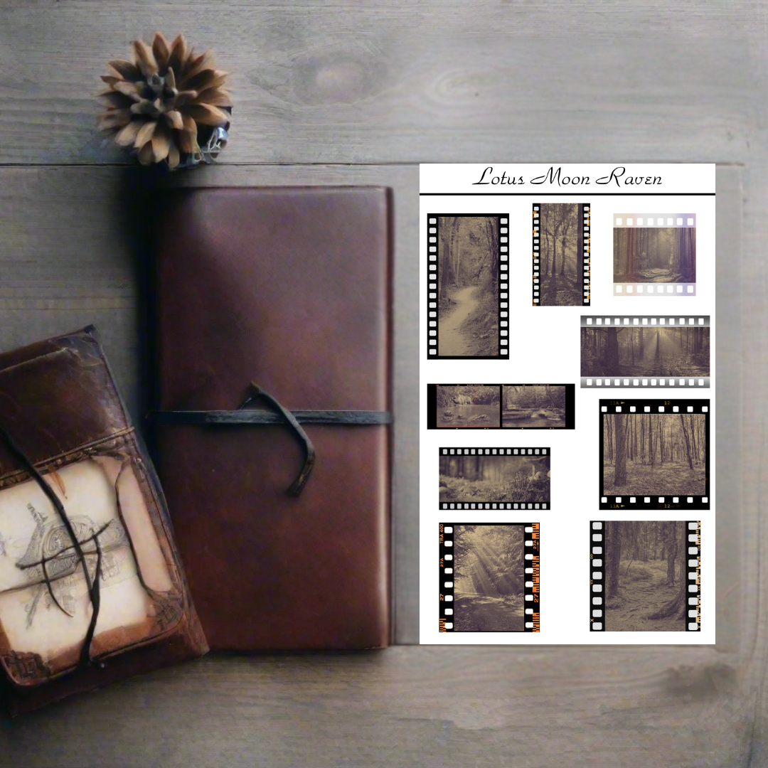 Forest Walk Negatives