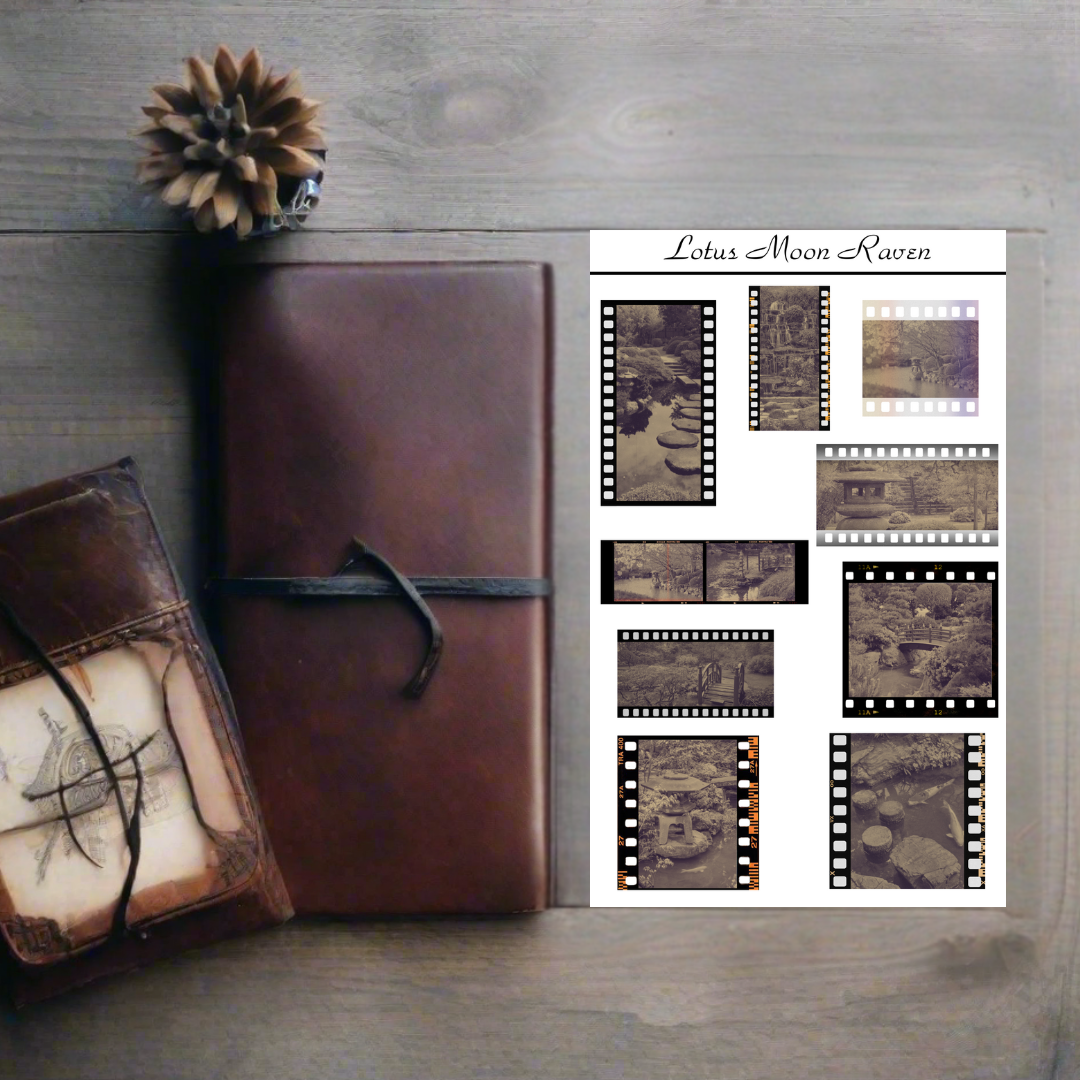 Japanese Garden Negatives