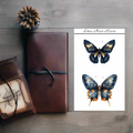 Flutter of Spring